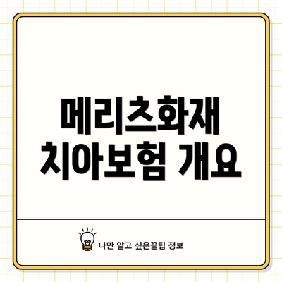 메리츠화재 치아보험 개요
