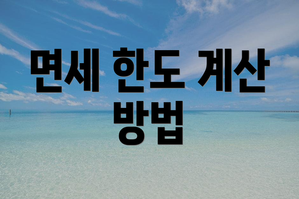 면세 한도 계산 방법