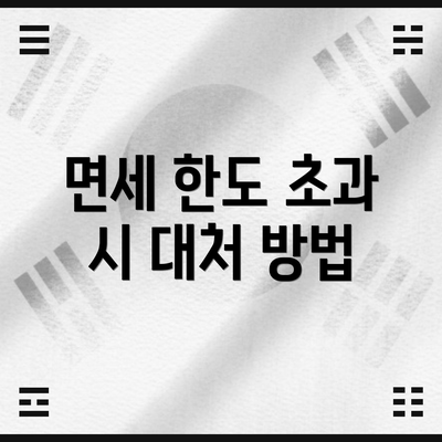 면세 한도 초과 시 대처 방법