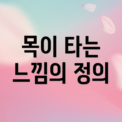 목이 타는 느낌의 정의