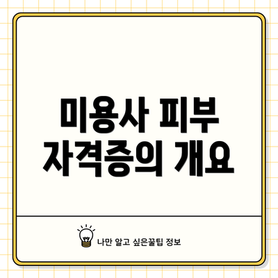 미용사 피부 자격증의 개요