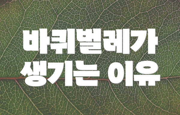 바퀴벌레가 생기는 이유