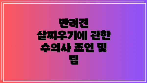 반려견 살찌우기에 관한 수의사 조언 및 팁