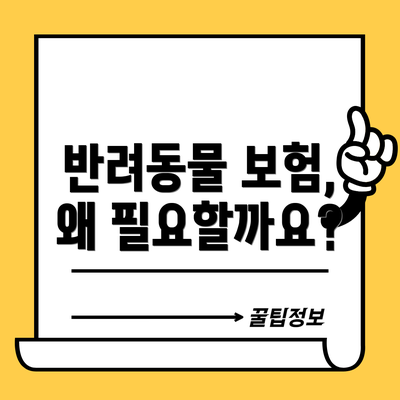 반려동물 보험, 왜 필요할까요?