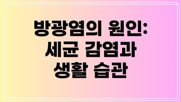 방광염의 원인: 세균 감염과 생활 습관