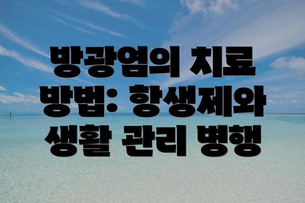 방광염의 치료 방법: 항생제와 생활 관리 병행