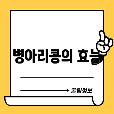 병아리콩의 효능