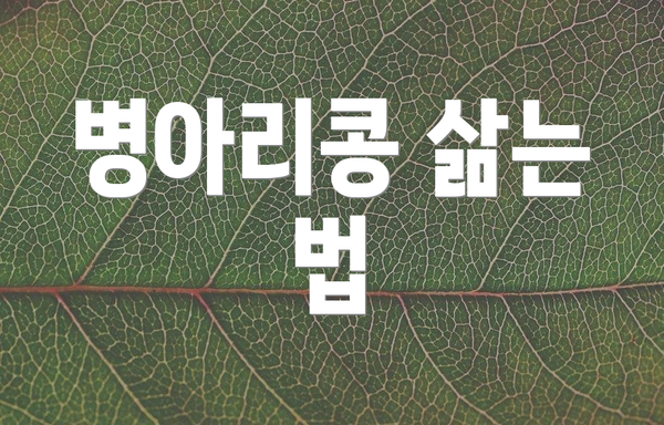 병아리콩 삶는 법