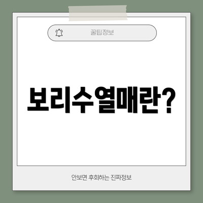 보리수열매란?