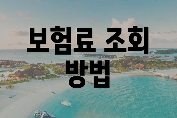 보험료 조회 방법
