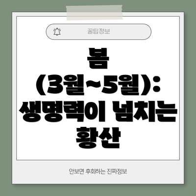 봄 (3월~5월): 생명력이 넘치는 황산