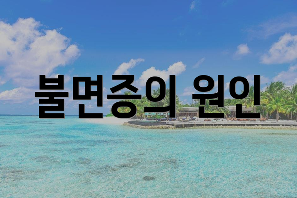 불면증의 원인