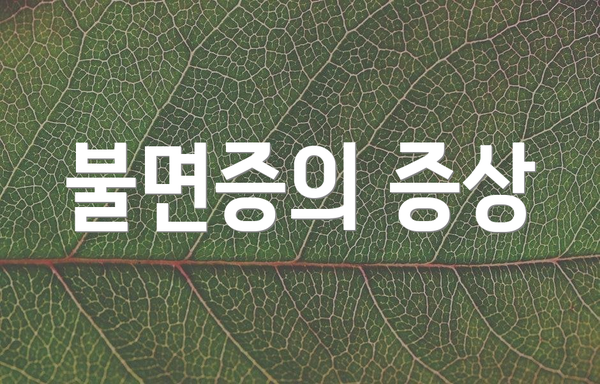불면증의 증상