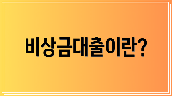 비상금대출이란?