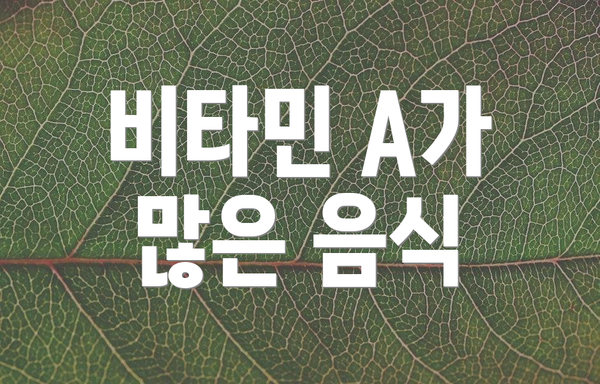 비타민 A가 많은 음식