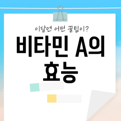 비타민 A의 효능