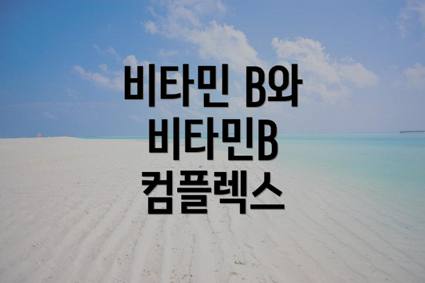 비타민 B와 비타민B 컴플렉스