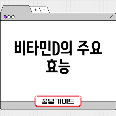 비타민D의 주요 효능
