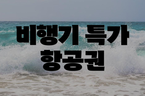 비행기 특가 항공권