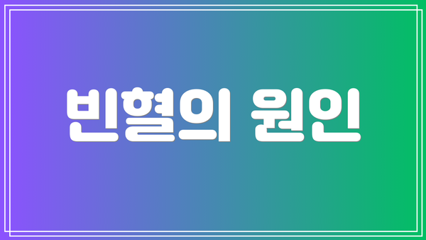 빈혈의 원인