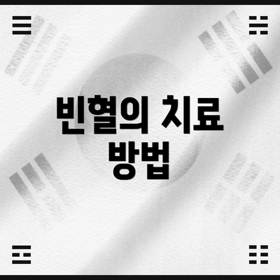 빈혈의 치료 방법