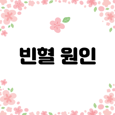 빈혈 원인