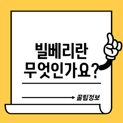 빌베리란 무엇인가요?