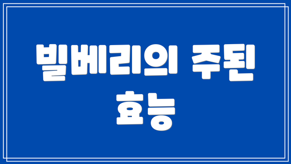 빌베리의 주된 효능