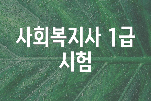 사회복지사 1급 시험