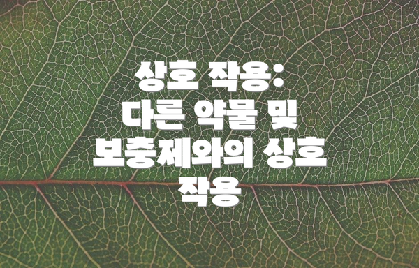 상호 작용: 다른 약물 및 보충제와의 상호 작용