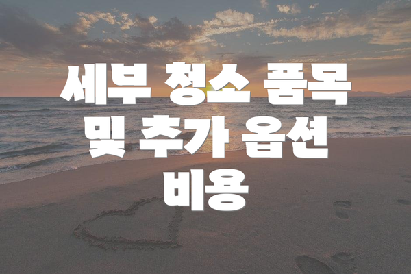 세부 청소 품목 및 추가 옵션 비용