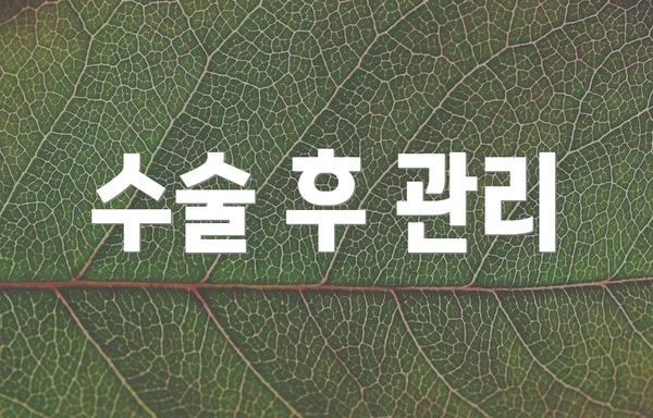 수술 후 관리