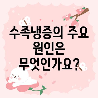 수족냉증의 주요 원인은 무엇인가요?