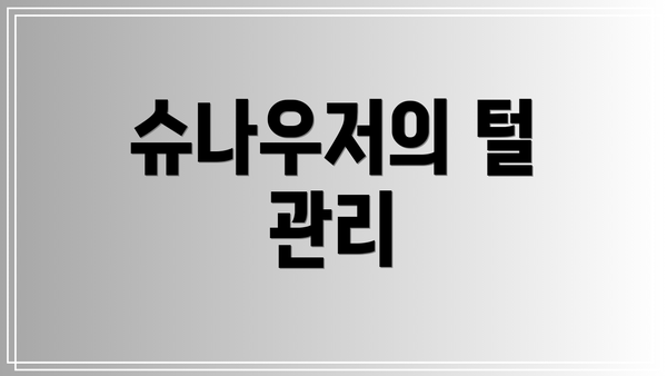 슈나우저의 털 관리