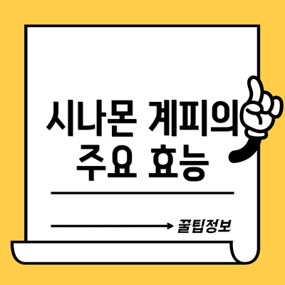 시나몬 계피의 주요 효능