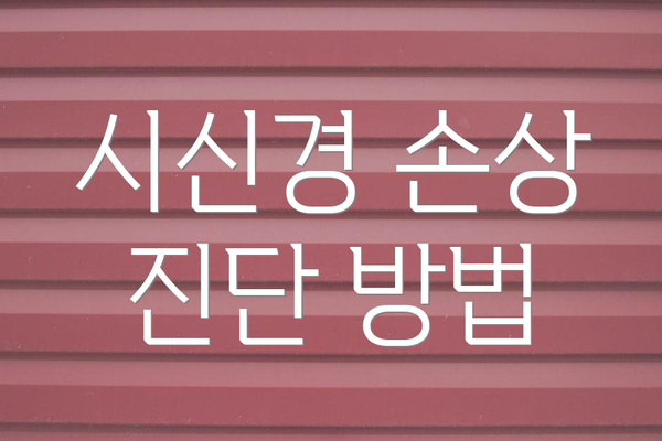 시신경 손상 진단 방법