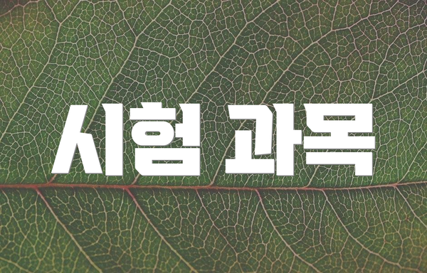 시험 과목