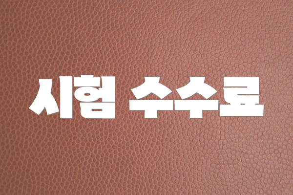 시험 수수료