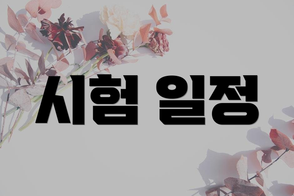 시험 일정