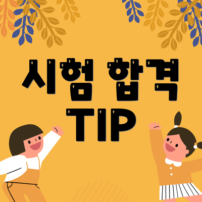 시험 합격 TIP