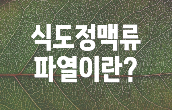 식도정맥류 파열이란?