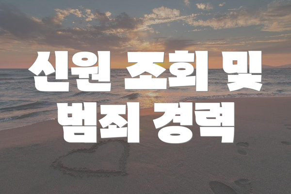 신원 조회 및 범죄 경력