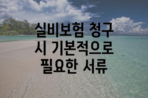 실비보험 청구 시 기본적으로 필요한 서류