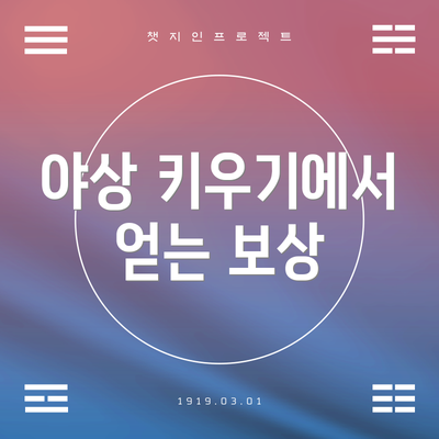 야상 키우기에서 얻는 보상