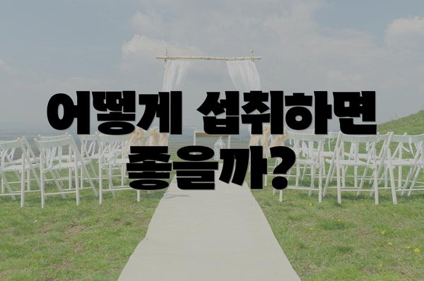 어떻게 섭취하면 좋을까?