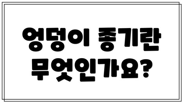엉덩이 종기란 무엇인가요?