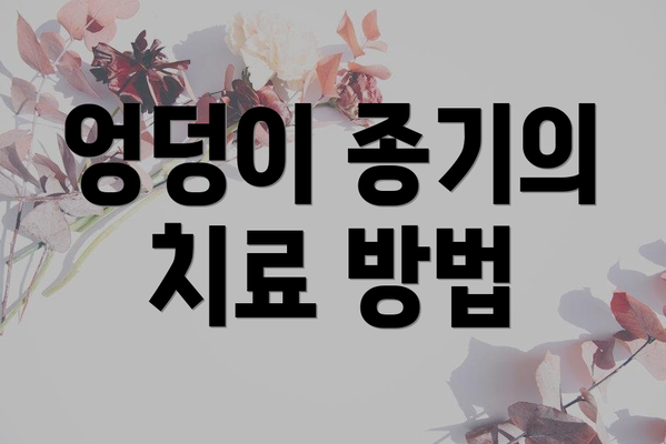 엉덩이 종기의 치료 방법