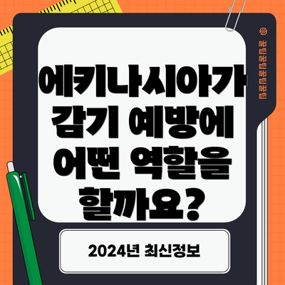 에키나시아가 감기 예방에 어떤 역할을 할까요?