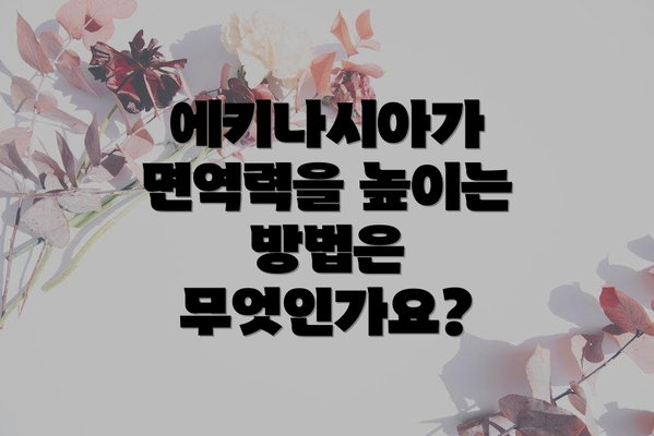 에키나시아가 면역력을 높이는 방법은 무엇인가요?
