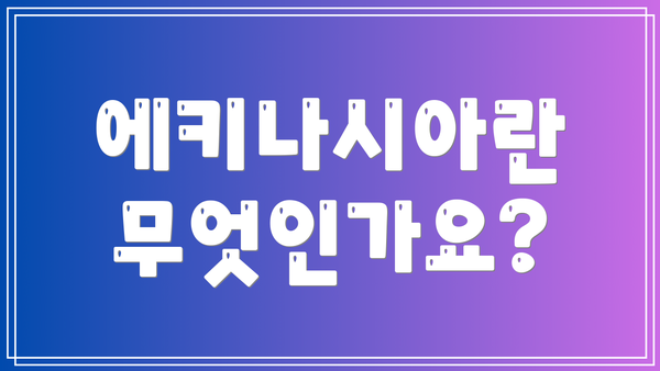 에키나시아란 무엇인가요?